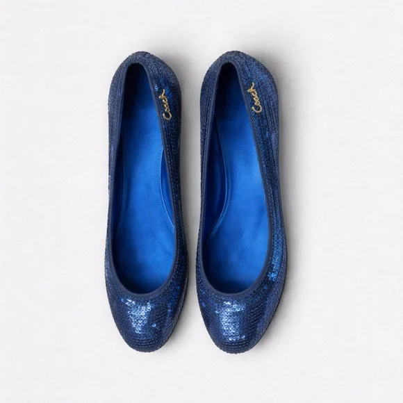 COACH Blue Sequin Shimmer Ballet Flat Shoes
Size 8 - Picture 2 of 8